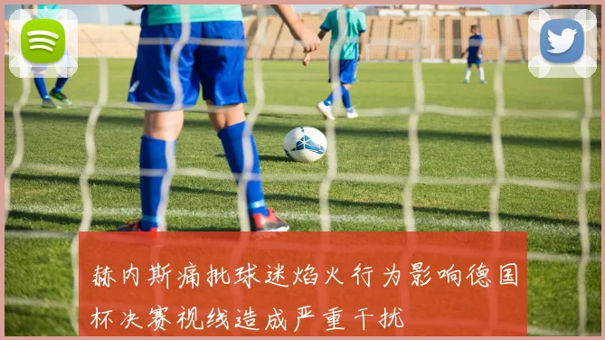 赫内斯痛批球迷焰火行为影响德国杯决赛视线造成严重干扰